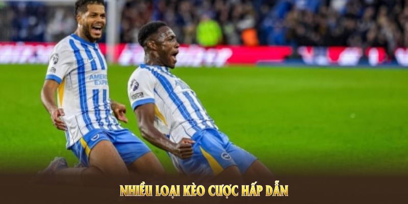 Nhiều loại kèo cược hấp dẫn trong sảnh thể thao 88BET Nhiều loại kèo cược hấp dẫn trong sảnh thể thao 88BET